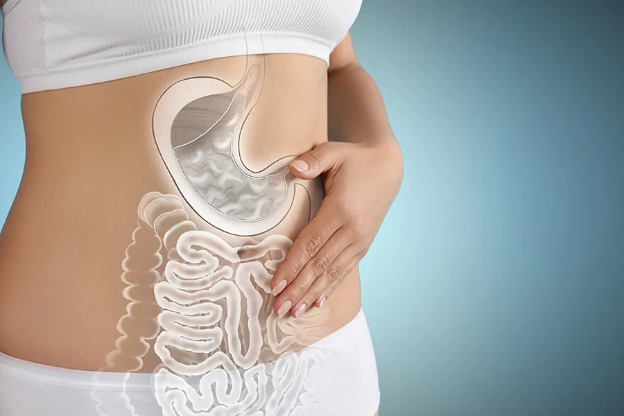 Gut-Health-Doctor Close up of the midriff of a woman with white underwear and an illustration of the digestive system superimposed over the image. Get help for digestive issues and gut health from Julie Kane, NP of Bird Island Wellness in Calgary.